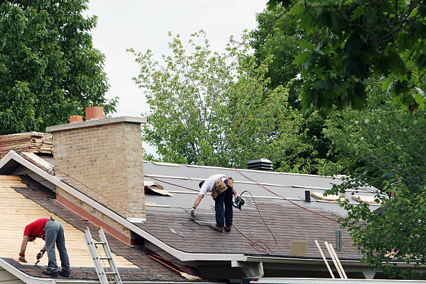Best Slate Roofing Contractor  in Martin, TN