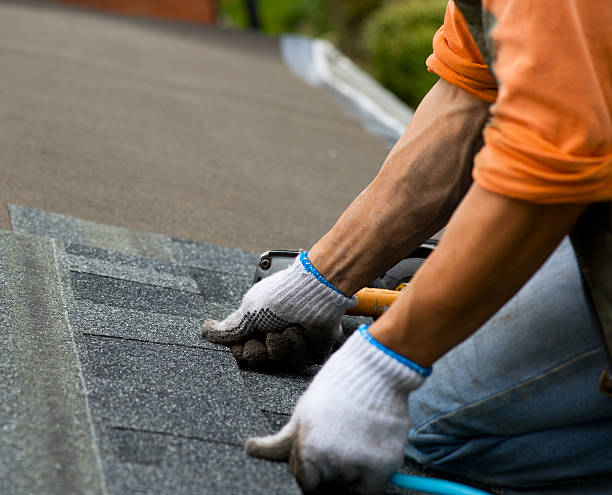 Best Commercial Roofing Services  in Martin, TN
