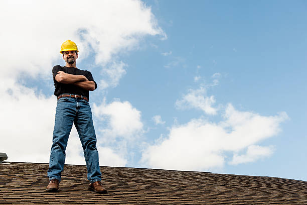 Best Roof Gutter Cleaning  in Martin, TN