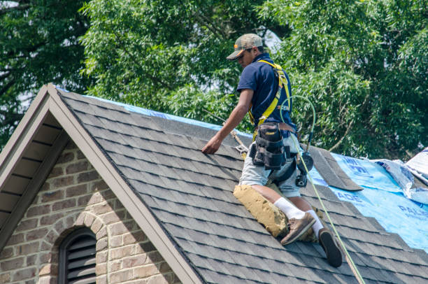 Quick and Trustworthy Emergency Roof Repair Services in Martin, TN